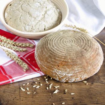 Preview: Städter Gärkorb Rund ca. ø 23,5 cm / H 7,5 cm 1.250 g