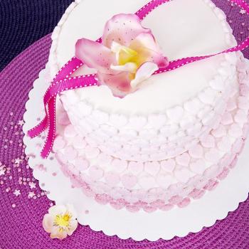 Preview: Städter Tortenscheiben - ø 28 cm - Weiß - 6 Stück