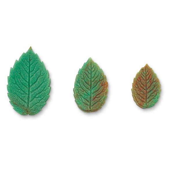 Städter Ausstecher mit Auswerfer Rosenblätter 25,30,40mm